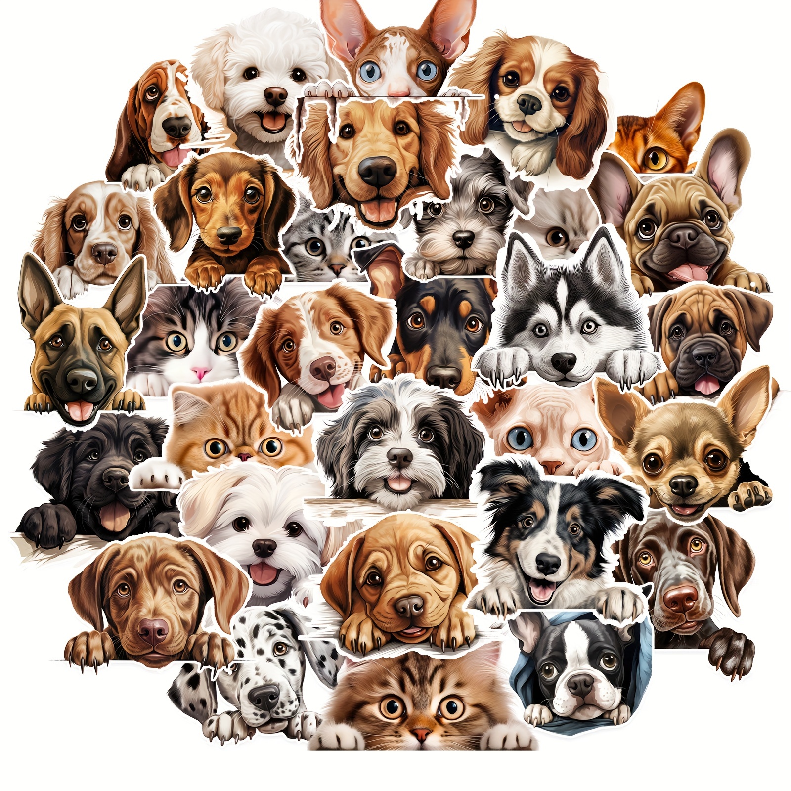 50pcs/Bag Fun Cat Dog Stickers – Laptop Accessories Organizer Bag Bewertung und Preis